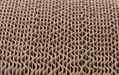 Tablero Rascador para Gatos con Forma de Pata - Image 6