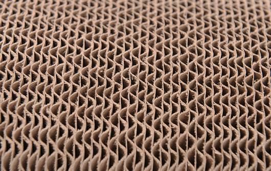 Tablero Rascador para Gatos con Forma de Pata - Image 6