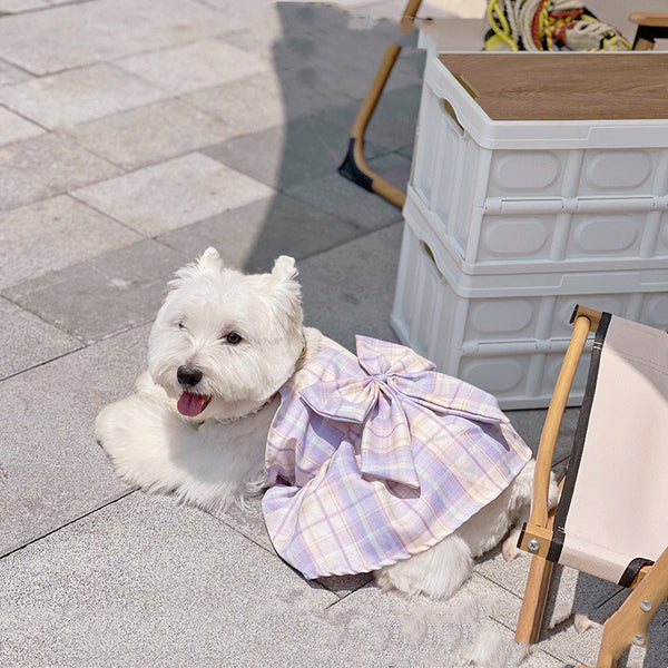 Falda Arnés para Perros JK Transpirable - Ropa Cómoda y Elegante
