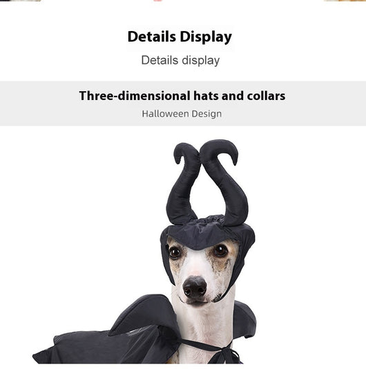 Capa y Sombrero de Halloween para Perros - Disfraz Festivo para Mascotas - Image 9