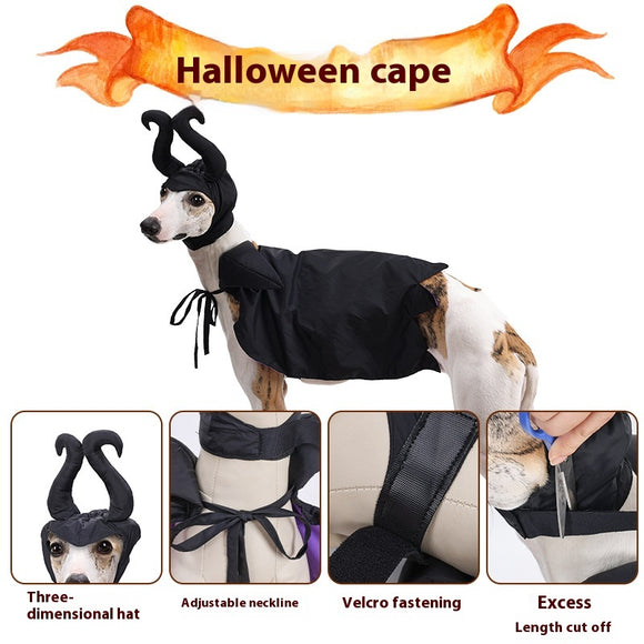 Capa y Sombrero de Halloween para Perros - Disfraz Festivo para Mascotas