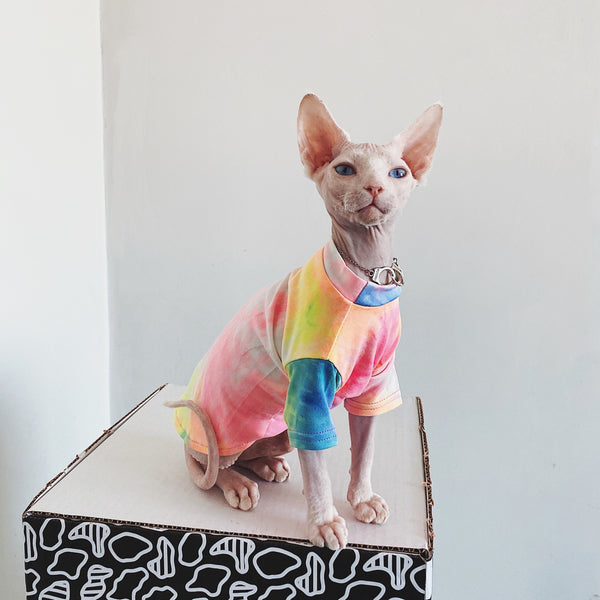 Ropa para Gatos sin Pelo Tie-Dye Arcoíris