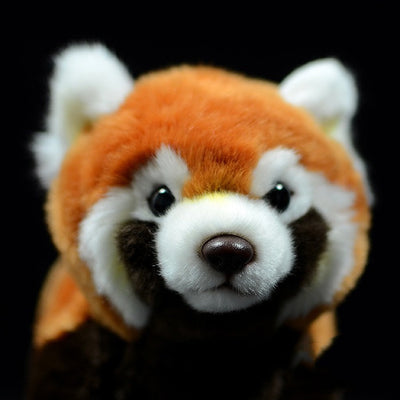 Adorable Muñeco Panda de Peluche - Juguete Suave y Tierno - Image 8