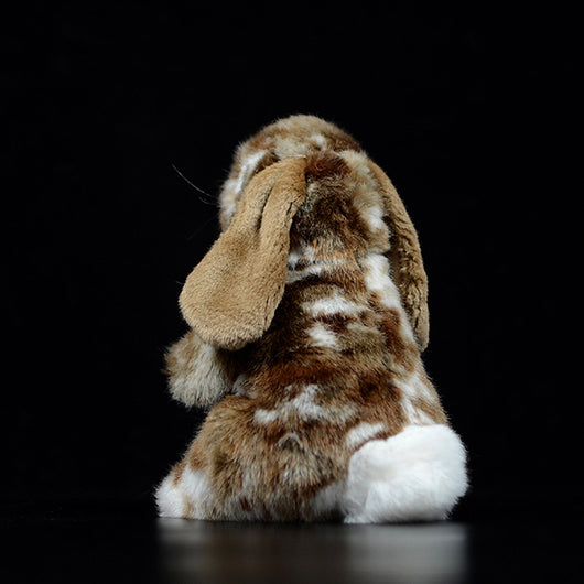 Peluche Adorable Conejo Holandés - Image 15