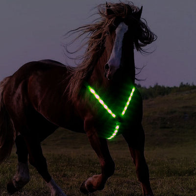 Arnés Luminoso para Caballo con Pecho Reflectante LED Cinch Cool - Image 13