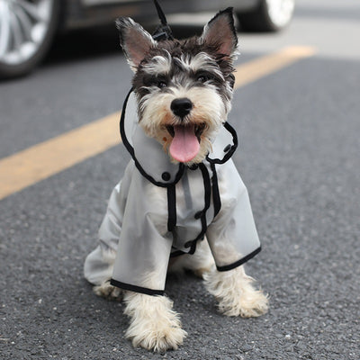 Impermeable para Perros Pequeños y Medianos - Protección Total Cuatro Patas - Image 7