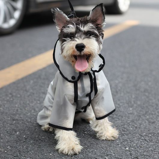 Impermeable para Perros Pequeños y Medianos - Protección Total Cuatro Patas - Image 7