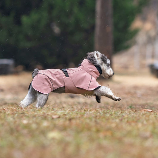 Poncho Impermeable Universal para Perros Pequeños y Medianos - Image 2