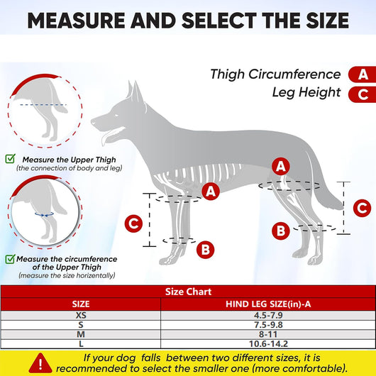 Refuerzo de Rodilla para Perros - Soporte para Patas Traseras - Image 20