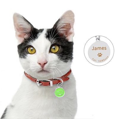 Placa Identificadora para Mascotas - Image 9