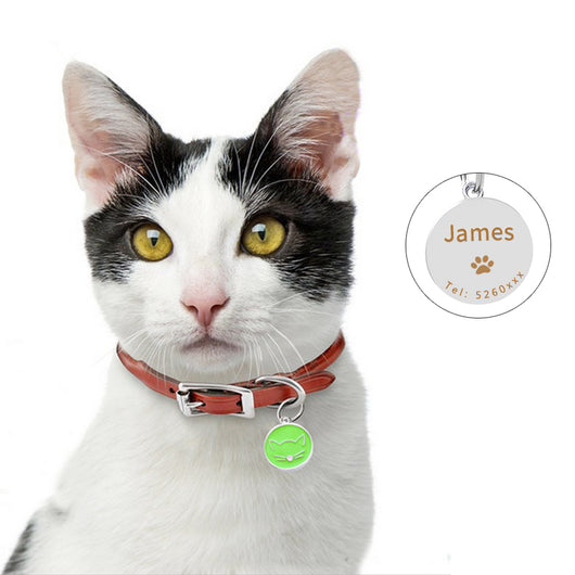 Placa Identificadora para Mascotas - Image 9