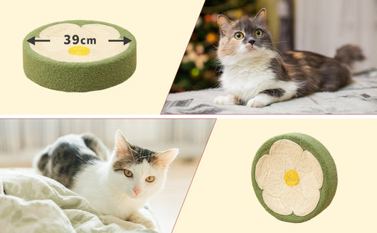 Cama Rascador para Gatos - Nido Acogedor con Zona de Descanso y Juego - Image 10