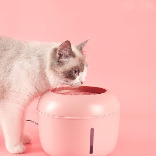 Dispensador Inteligente de Agua Filtrada para Mascotas