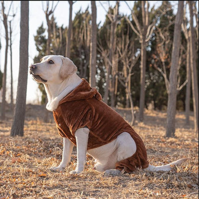 Ropa para Perros Grandes - Colección Año Completo Talla Mediana-Grande - Image 19