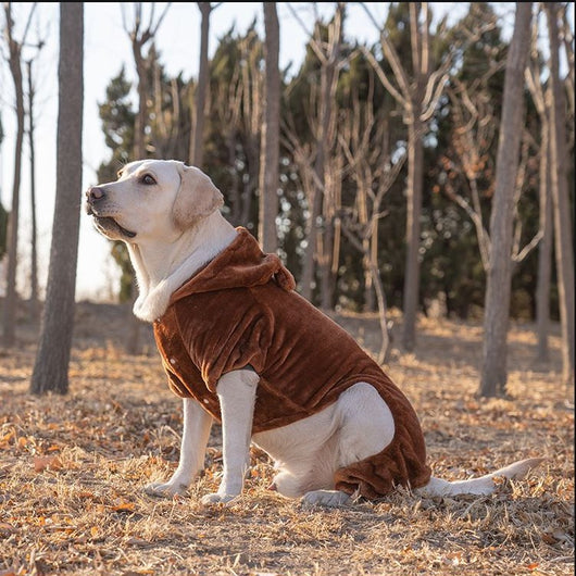 Ropa para Perros Grandes - Colección Año Completo Talla Mediana-Grande - Image 19