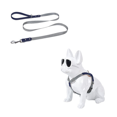 Arnés de Pecho para Perro en Cuero con Correa de Nylon - Image 11