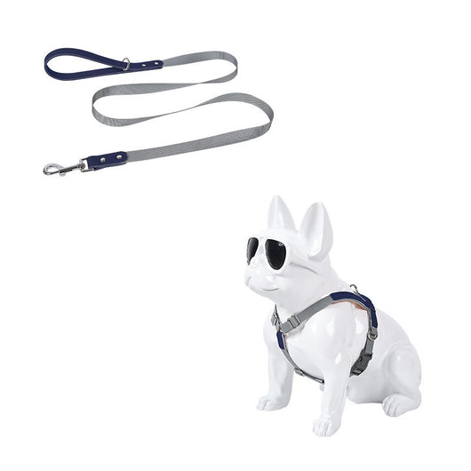 Arnés de Pecho para Perro en Cuero con Correa de Nylon - Image 11