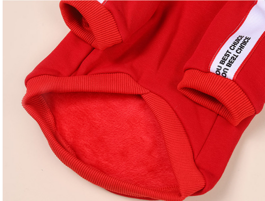 Ropa de Moda para Perros Pequeños y Medianos - Image 17