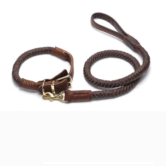 Correa de Perro Reforzada con Cadena Antiroturas para Razas Medianas y Grandes - Image 13