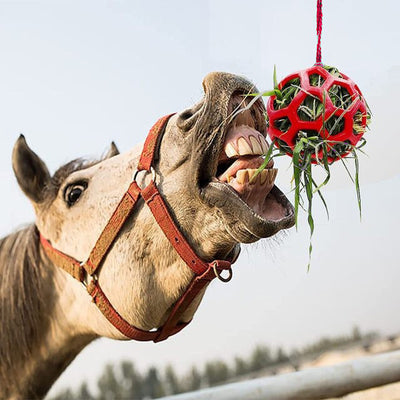 Comedero Colgante Estable con Pelota Juguete para Caballos - Image 12
