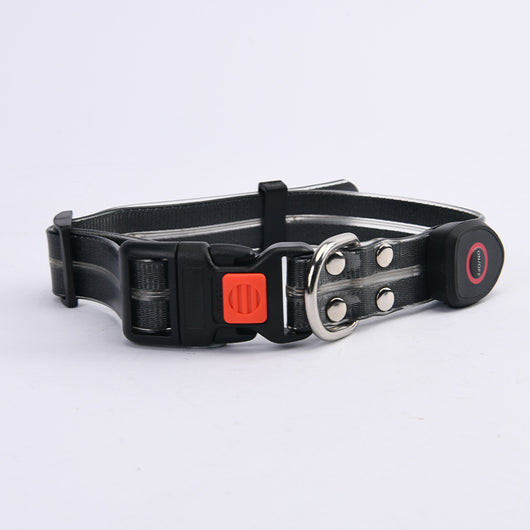 Correa LED Luminosa para Mascotas - Collar con Luz Emisora - Image 13