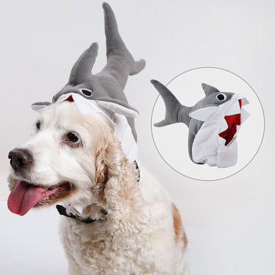 Gorro Tiburón para Mascotas - Disfraz Adorable de Transformación - Image 6