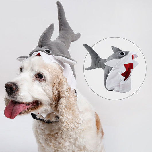 Gorro Tiburón para Mascotas - Disfraz Adorable de Transformación - Image 6