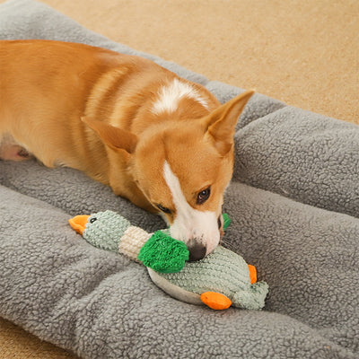 Juguete Peluche Resistente con Sonido para Aliviar Estrés en Perros - Image 2