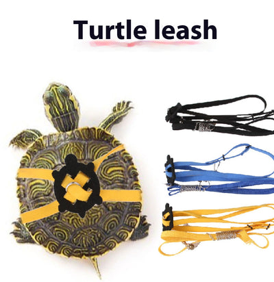 Arnés Ajustable para Tortugas - Correa de Tracción Segura - Image 13