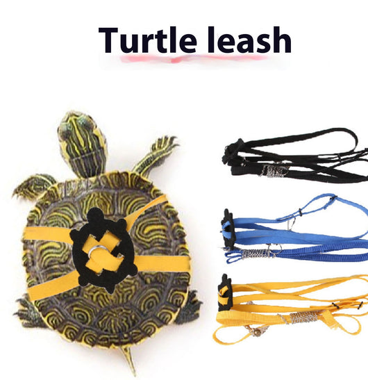 Arnés Ajustable para Tortugas - Correa de Tracción Segura - Image 13