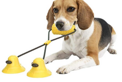 Juguete Masticable Resistente con Forma de Mazorca de Maíz para Perros - Image 15