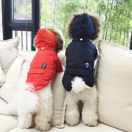 Abrigo de Algodón con Capucha para Perros