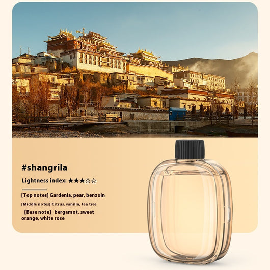 Aceites Esenciales Compatibles con Difusor Aroma V01pro - Image 11