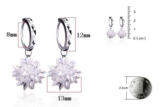 Aretes de Plata 925 Hipoalergénicos de Belleza Pura - Image 5