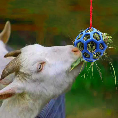 Comedero Colgante Estable con Pelota Juguete para Caballos - Image 4