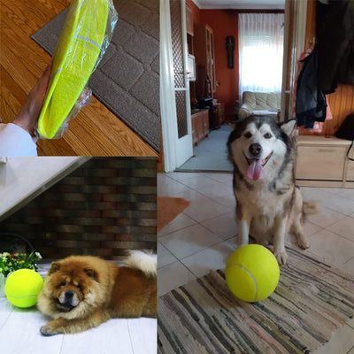 Large 8.5 inch (21.5 cm) yellow tennis ball, ideal for pet play or dog training. - Image 5