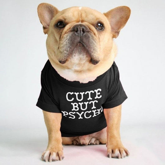 Polera Cuello Alto para Mascotas - Diseño Clásico y Cómodo - Image 6