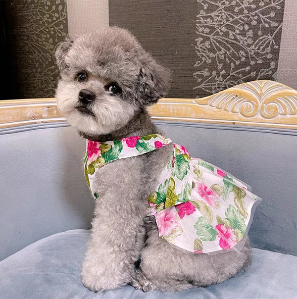 Sombrero Cubo de Algodón Ultra Fino para Mascotas - Gorra Princesa Versátil para Dama