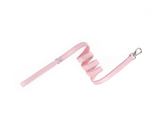 Collar de Cuero Protector con Localizador AirTag para Mascotas - Image 17