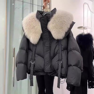 Abrigo de Invierno Acolchado en Algodón Negro para Mujer - Image 4