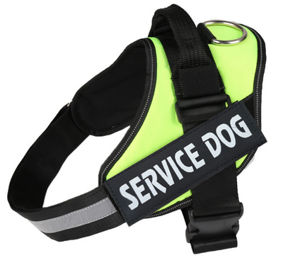 Arnés de Pecho para Perro con Cuerda de Tracción - Image 35