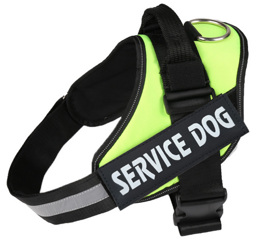 Arnés de Pecho para Perro con Cuerda de Tracción - Image 35