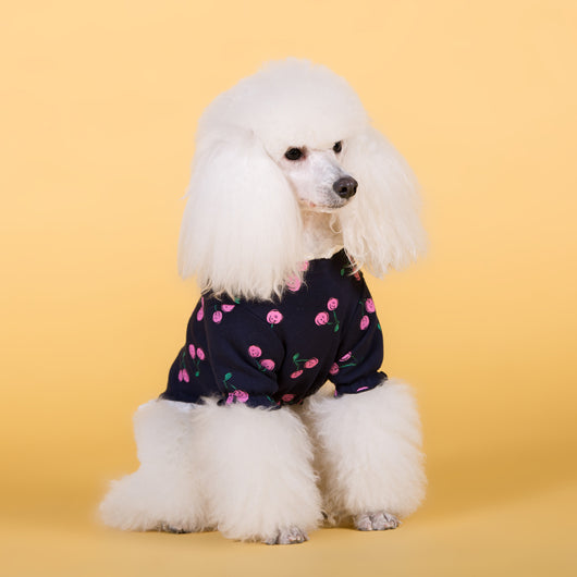 Camiseta de Algodón Elástico para Perros - Image 3