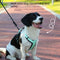 Arnés Reflectante para Perro con Cuerda de Control y Correa Antitirones