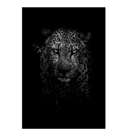 Cuadro Personalizado para Galería de Arte - Image 12
