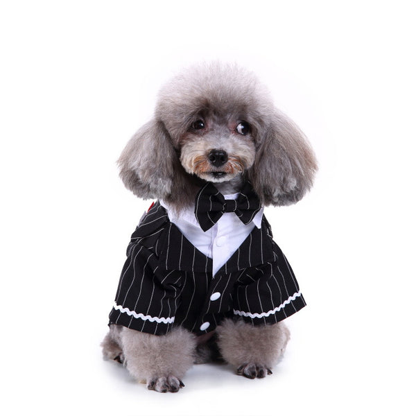 Conjunto de Ropa para Perros - Traje Completo de Moda
