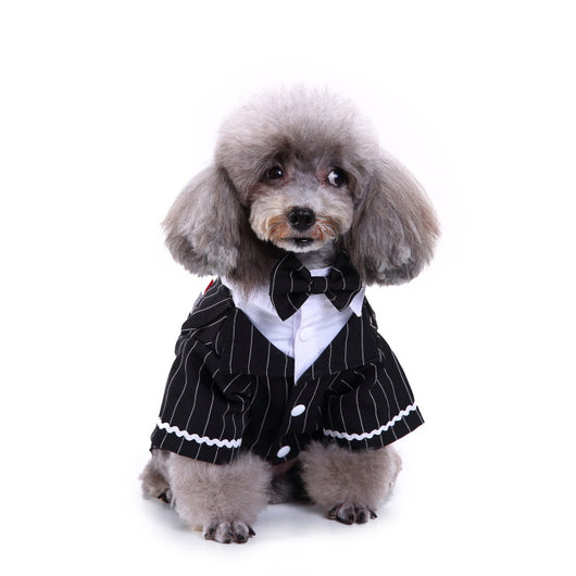 Conjunto de Ropa para Perros - Traje Completo de Moda