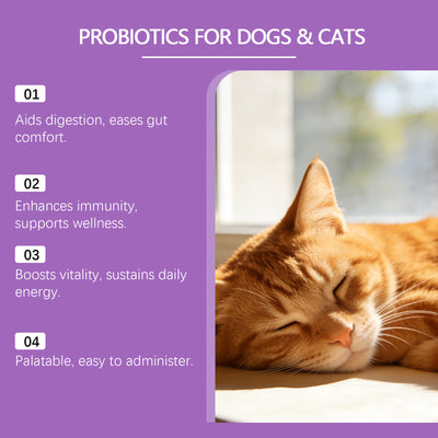 Polvo Probiótico para la Salud Digestiva de Mascotas - Image 14