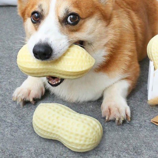 Juguete Masticable para Perros Pequeños y Medianos - Juguete Interactivo Resistente con Forma de Cacahuete - Image 3