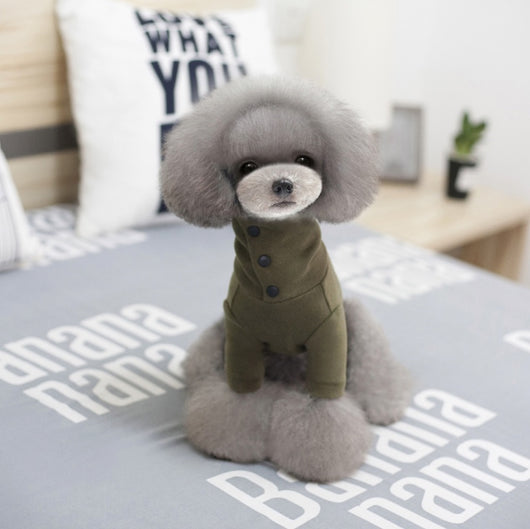 Ropa de Otoño e Invierno para Perros Pequeños - Image 13